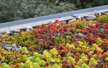 the cost of Woolpit green roof installation