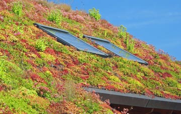 Woolpit living roof systems