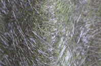 Woolpit fibreglass roof work